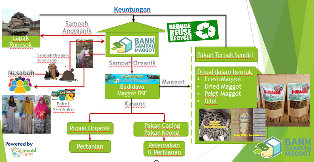 SKEMA 